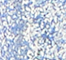 BPER0127F