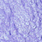 BPER0144F
