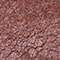 BPER0148F