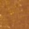 BPER0381F