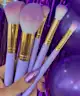 Brush Candy - Violets 15 Piece Brush Set