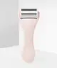 Brushworks - Ice Roller