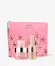Clinique - Moisture Meets SPF Skincare Set