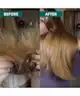 Coco & Eve - Hydrated Hair Superstars