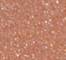 CROP0027F