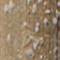 CROP0107F