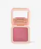 The Beauty Crop - Glow Milk Matte Powder Blush