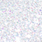STIL1244F