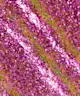 Danessa Myricks Beauty - Infinite Chrome Flakes