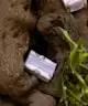 Davines - LOVE Shampoo Bar