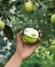 DKNY - Be Delicious Eau de Parfum