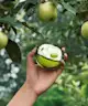 DKNY - Be Delicious Eau de Parfum