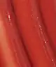 Dr. PAWPAW - Tinted Multipurpose Balm True Coral