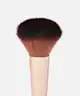 So Eco - Blush Brush 