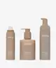EFFN BEAUTY - Tan Essentials Kit