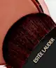 Estée Lauder - Bronze Goddess Powder Bronzer