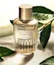 Estée Lauder - Tender Light Eau de Parfum Spray