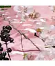 Estée Lauder - Dream Dusk Eau de Parfum Refill 