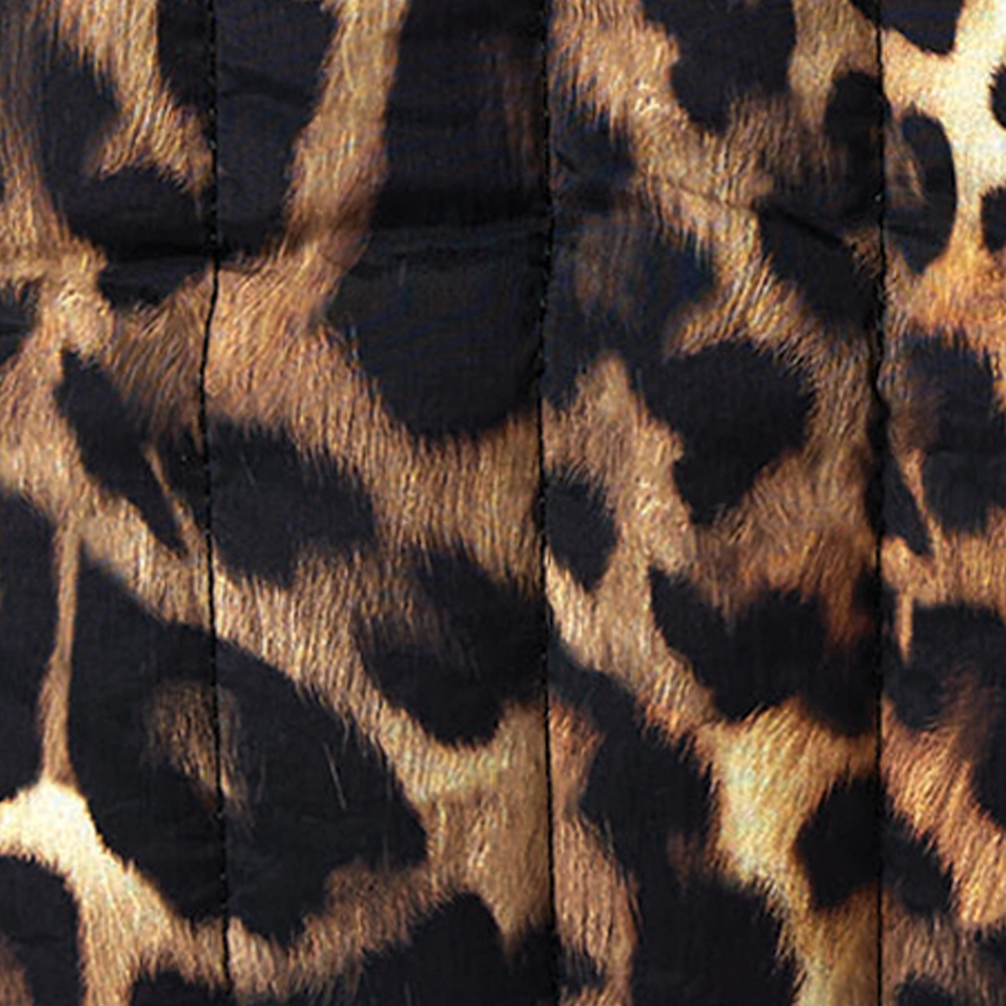 Warped Leopard