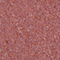 FLOR0055F
