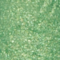 FLOR0213F