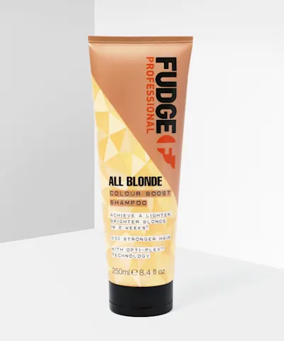 Fudge Professional - All Blonde Colour Booster Shampoo