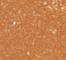 GLHU0611F