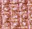 GLIS0057F