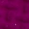 GLIS0074F