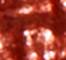 GLIS0078F