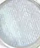 Glisten Cosmetics - Wet Liner®