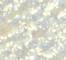 GLIS0109F