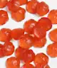Goli Nutrition - Apple Cider Vinegar Gummies