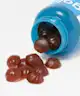 Goli Nutrition - Ashwagandha Gummies