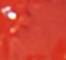 HALF0001F