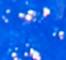 HALF0003F