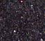 HALF0091F