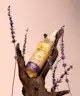 Hair Syrup - Zen Pre Wash Hair Oil