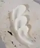 Bubble Skincare - Slam Dunk Hydrating Moisturizer Cream