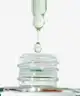 Herbivore - Emerald Hemp Seed + Adaptogens Deep Moisture Glow Oil