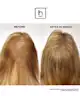 HairMax - Laserband 82 Comfortflex