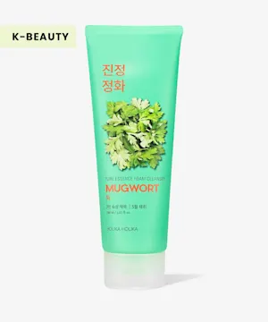 Holika Holika Pure Essence Mugwort Foam Cleanser