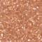ICON0008F