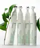 Innisfree - Green Tea Caffeine Bright-Eye Serum