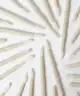 ISOCLEAN - Lip Gloss Applicators