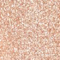 JOCO0030F