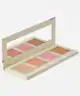 Jouer Cosmetics - Champagne & Macarons Face Palette