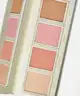 Jouer Cosmetics - Champagne & Macarons Face Palette