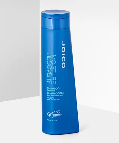 Joico - Moisture Recovery Shampoo