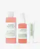 Mario Badescu - Rose Winter Essentials